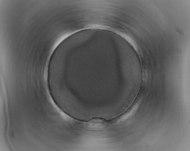 X0000111861007200908061332