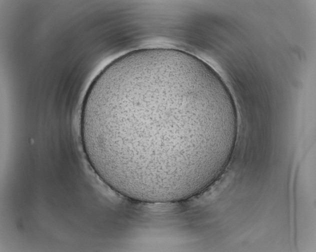 X0000111861008200908061332