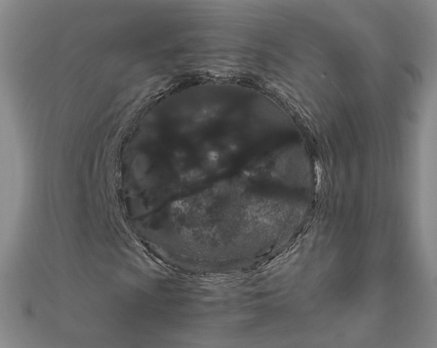 X0000111861009200908061331