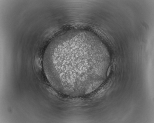 X0000111861010200908061331