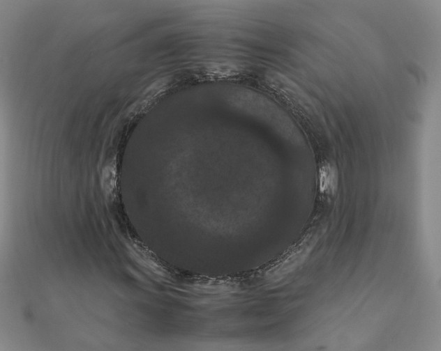 X0000111861011200908061331