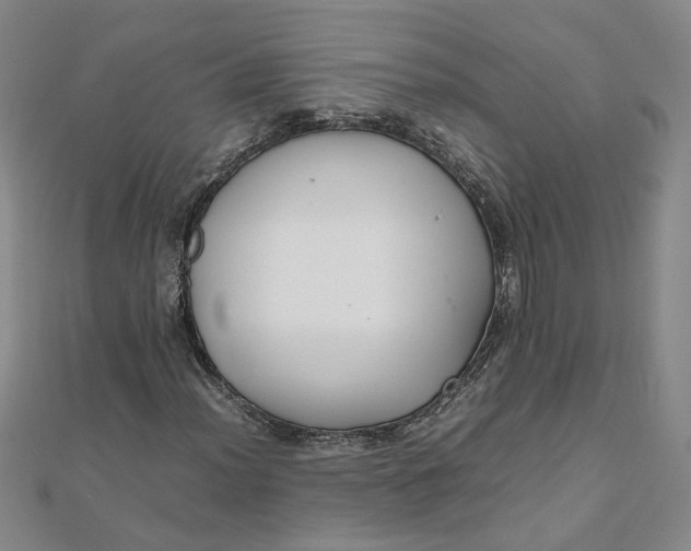 X0000111861012200908061331