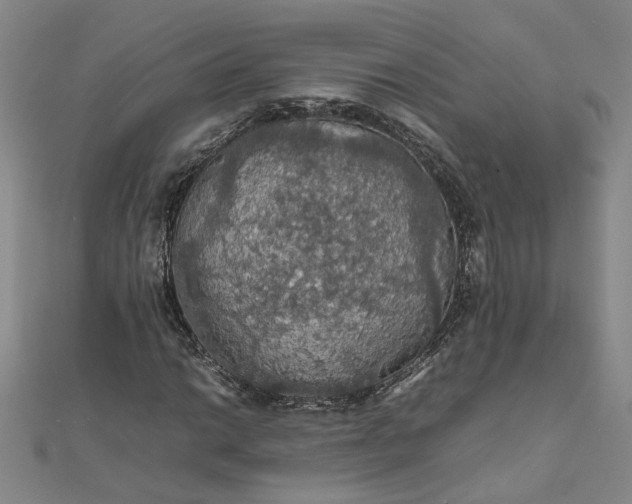 X0000111861014200908061331