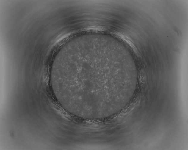 X0000111861015200908061331