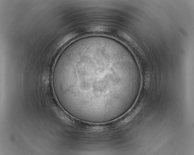 X0000111861017200908061331