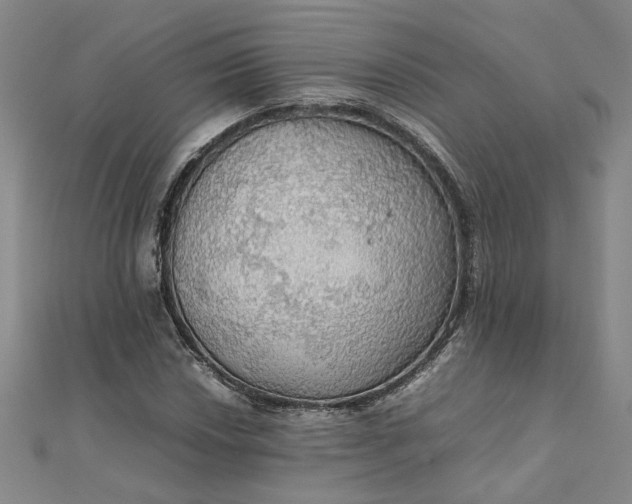 X0000111861018200908061331