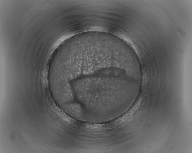 X0000111861019200908061331