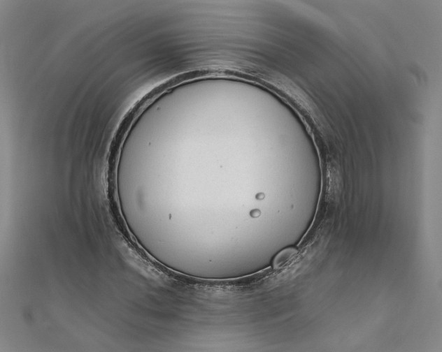 X0000111861020200908061331