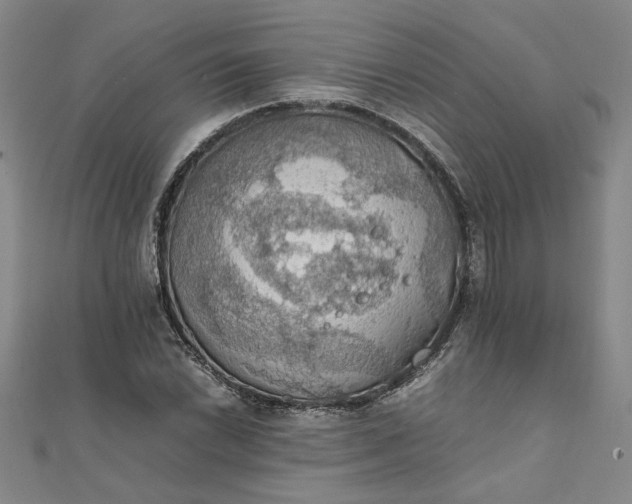 X0000111861022200908061331