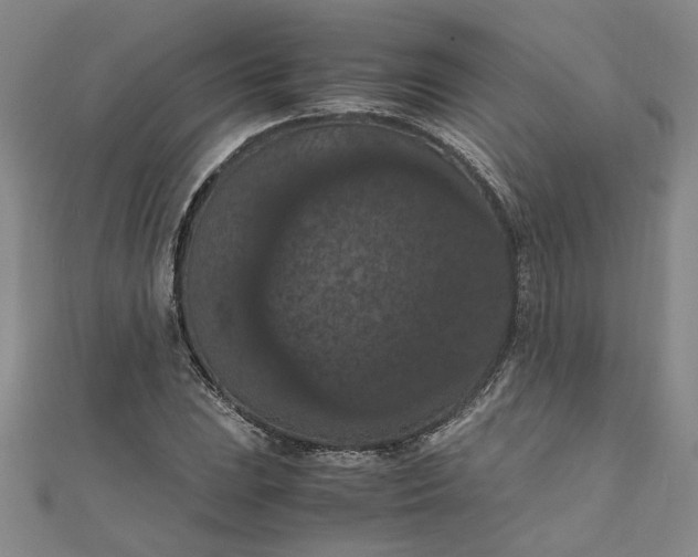 X0000111861023200908061331