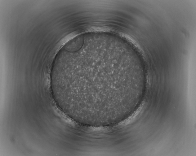 X0000111861025200908061331