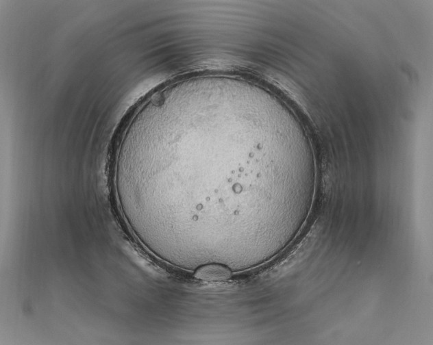 X0000111861026200908061331