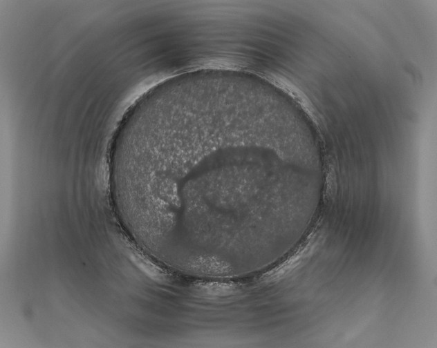 X0000111861027200908061331