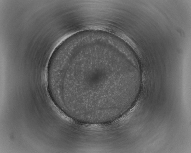 X0000111861028200908061331