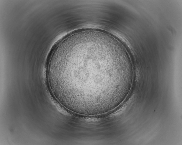 X0000111861029200908061331