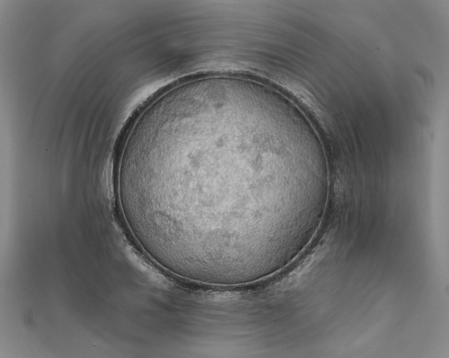 X0000111861030200908061331