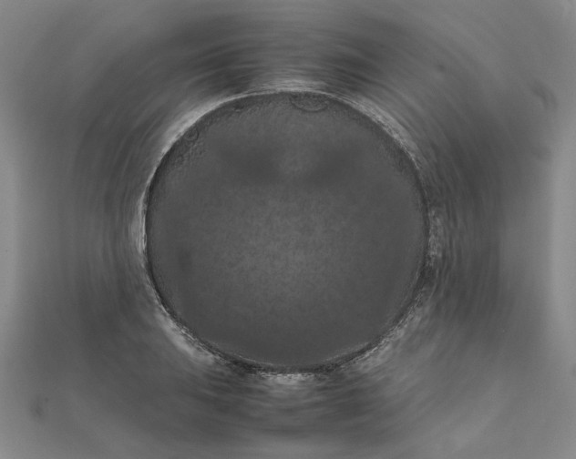 X0000111861031200908061331