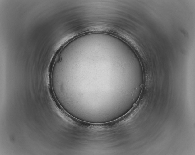 X0000111861034200908061331