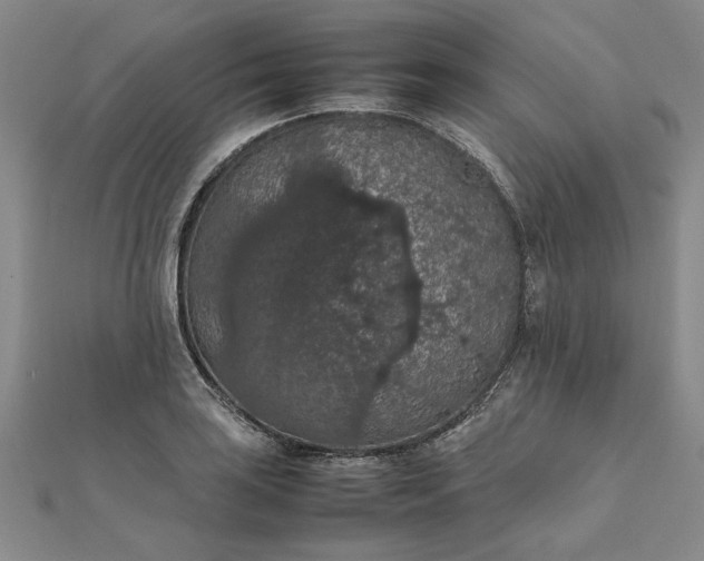 X0000111861035200908061331