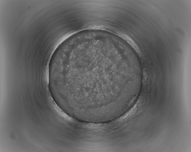 X0000111861036200908061331