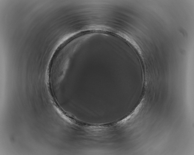 X0000111861037200908061331