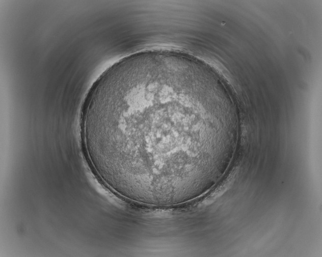 X0000111861038200908061331