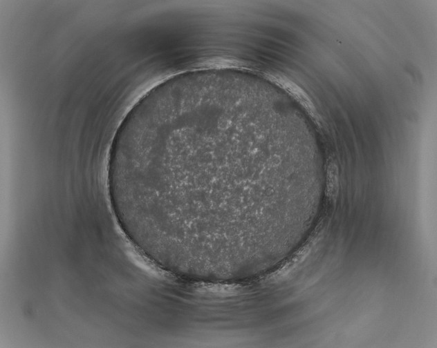 X0000111861039200908061331