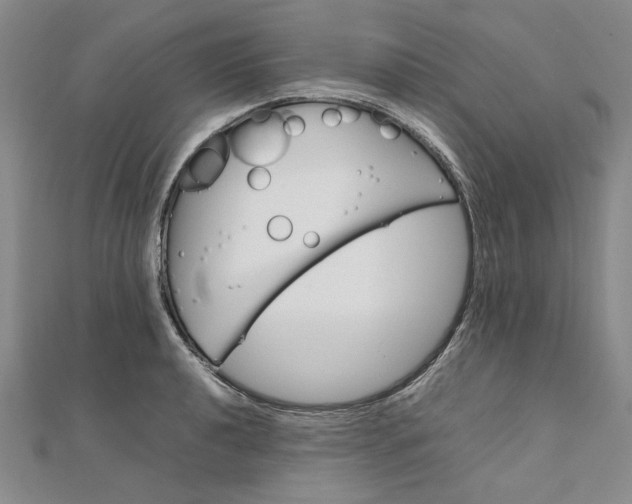 X0000111861040200908061331