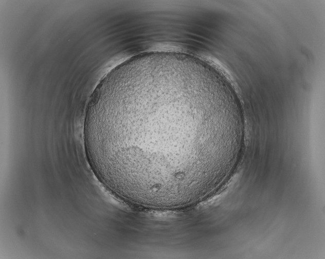 X0000111861041200908061331