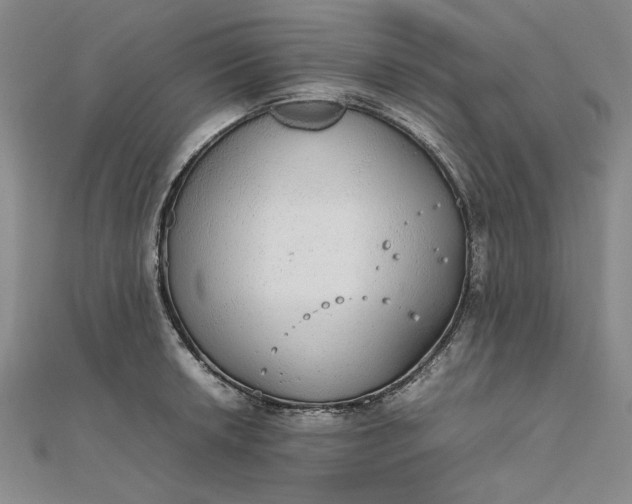 X0000111861042200908061331