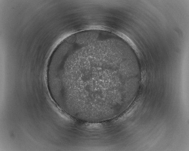 X0000111861043200908061331