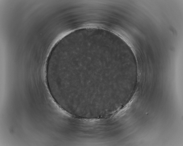 X0000111861045200908061331