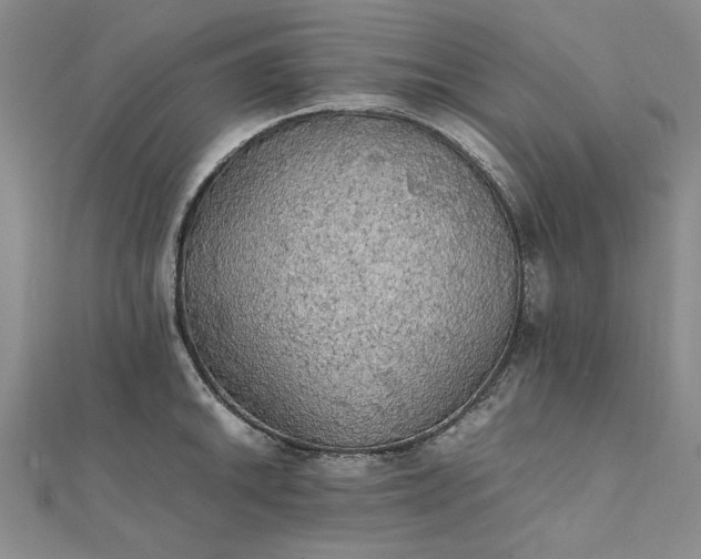 X0000111861046200908061331