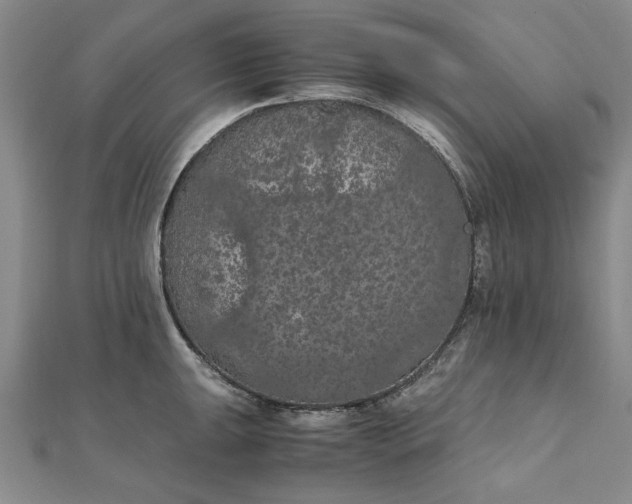 X0000111861047200908061332