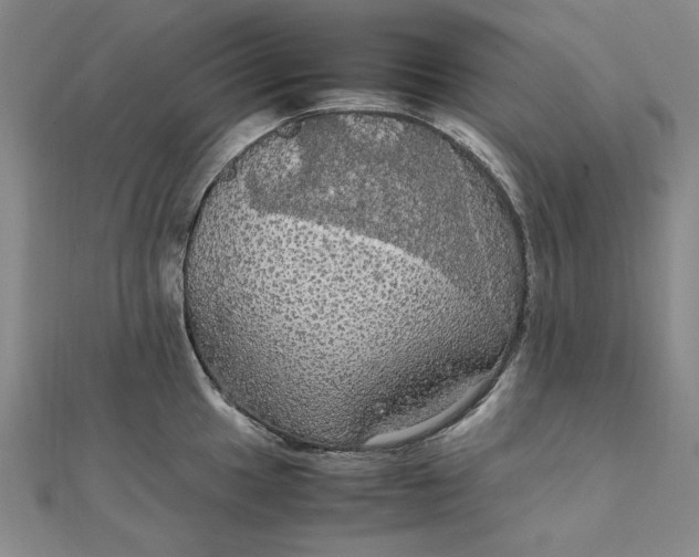 X0000111861049200908061332