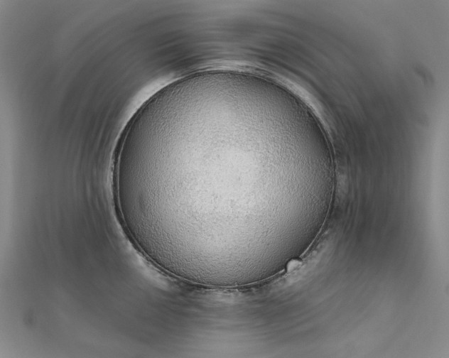 X0000111861050200908061332