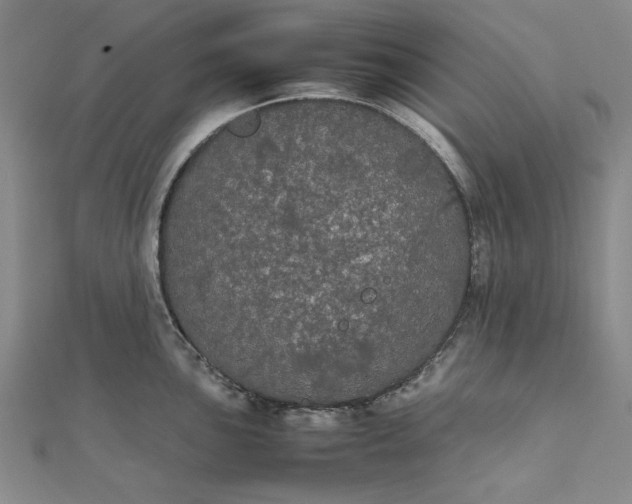 X0000111861051200908061332