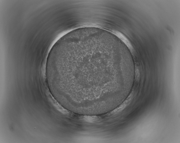 X0000111861052200908061332