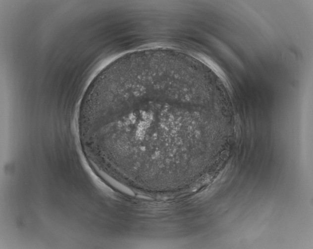 X0000111861055200908061332