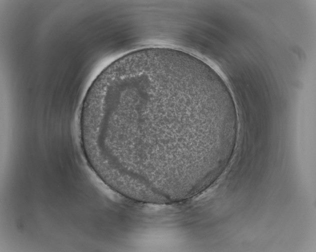 X0000111861056200908061332