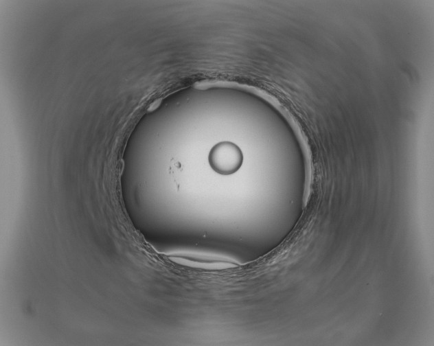 X0000111861057200908061331