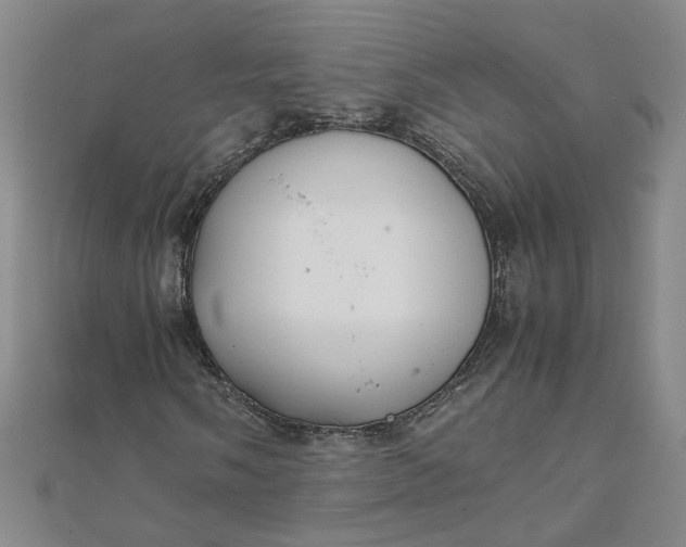 X0000111861058200908061331