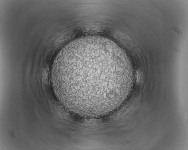 X0000111861059200908061331