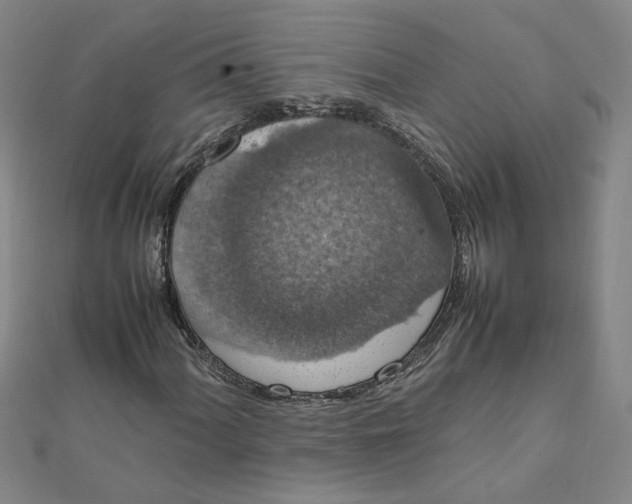 X0000111861060200908061331