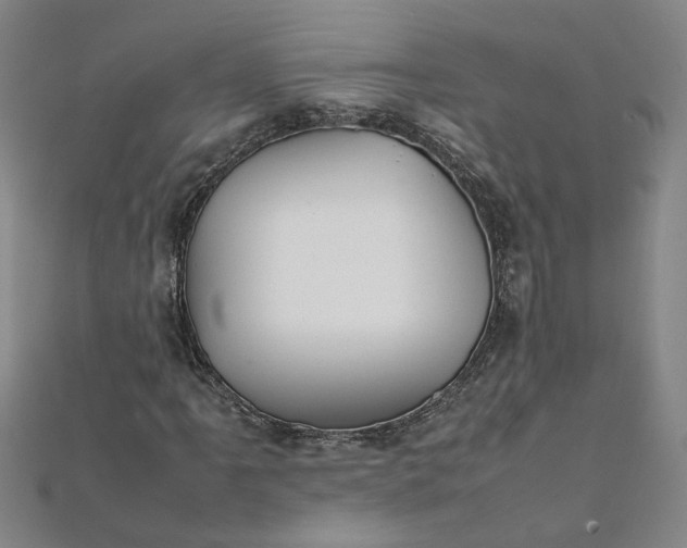 X0000111861061200908061331