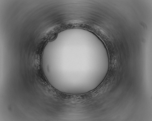 X0000111861062200908061331