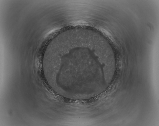 X0000111861063200908061331