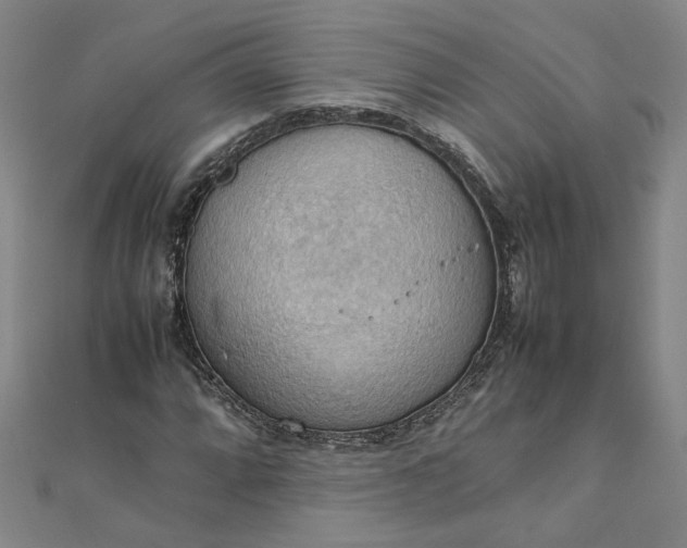 X0000111861064200908061331