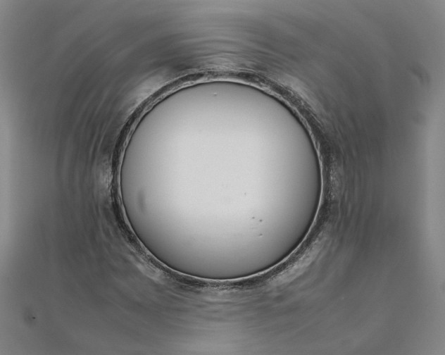 X0000111861065200908061331