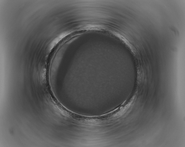 X0000111861066200908061331